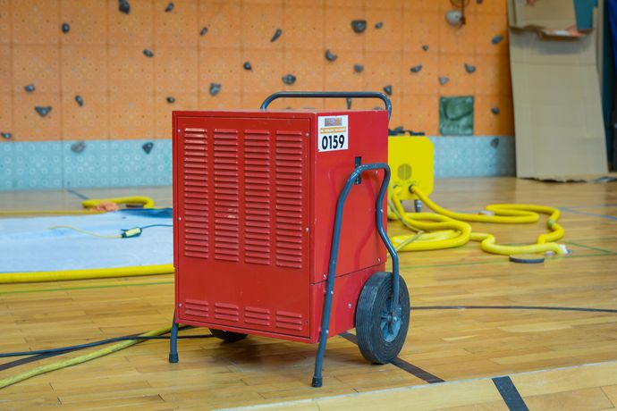 Tutti i servizi di BAU-TEC - BAU-TEC - Leckortung, Rohrbruchortung